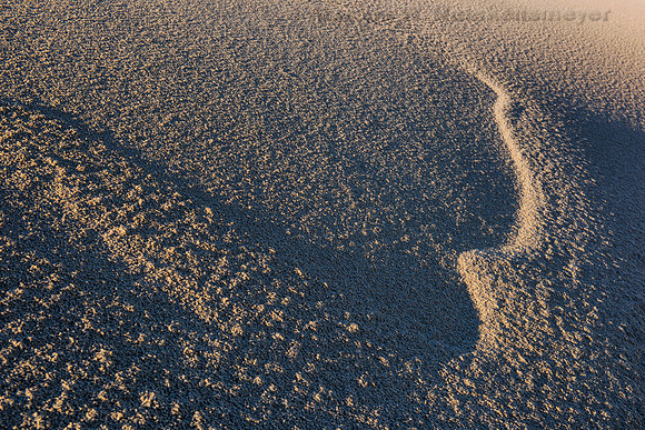 Oregon Dunes National Recreation Area, John Dellenback Dunes Trail 1, Oregon
