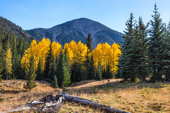 Inner Basin 2, San Francisco Peaks, Flagstaff, AZ
