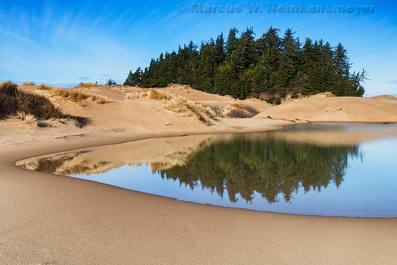 Oasis, Oregon Dunes National Recreation Area,  John Dellenback Dunes,  Trail 4
