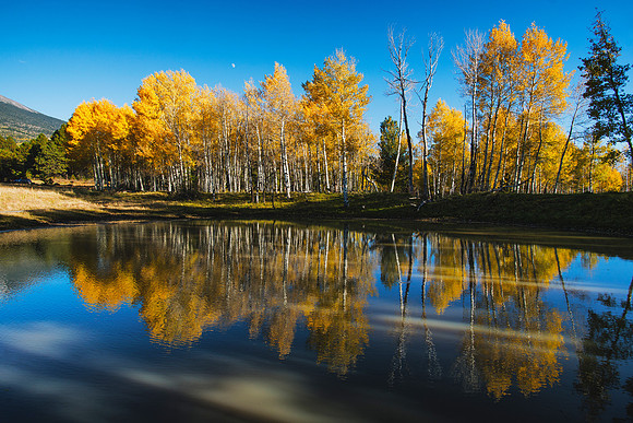 Autumn Reflections web