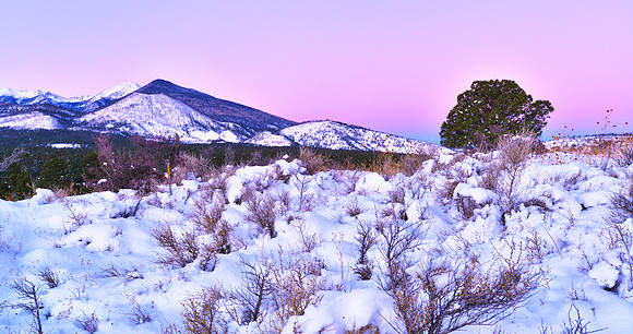 San Francisco Peaks Pink Dawn pano