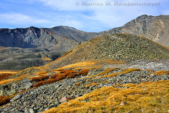 Gray's Peak Hike, Colorado - Just Beyond the Treeline at Trail Head - Copy