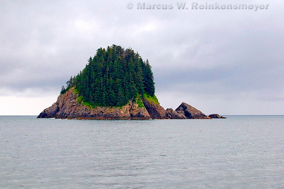 Kenai Fjords 3 - 003