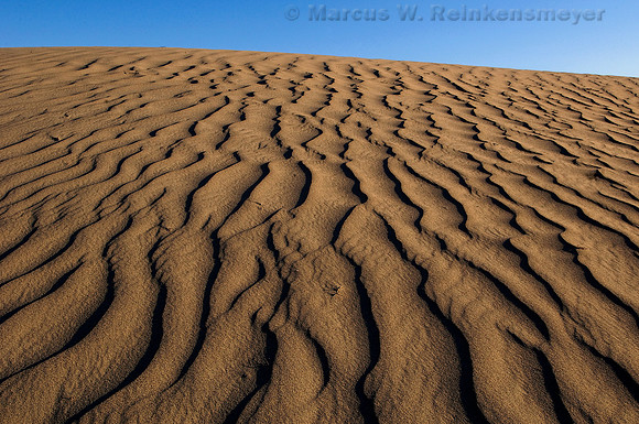 Sand dune ripples and clear blue skies at Mesquite Flats Dunes, a large expanse of sand near Stove Pipe Well, Death Valley National Park, California.