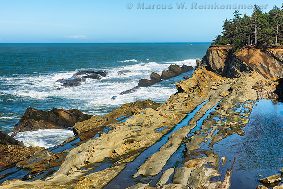 Shore Acres State Park, Oregon 1