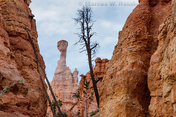 Queens Garden Trail, Bryce Canyon NP, UT 12