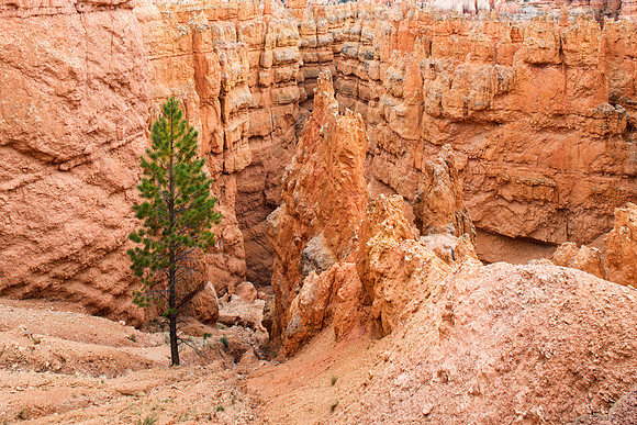 Navajo Trail, Bryce Canyon NP, UT 3 copy