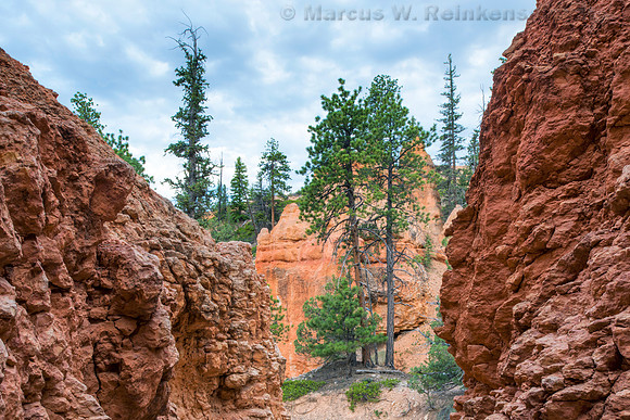 Passage Way, Bryce Canyon NP, UT 1