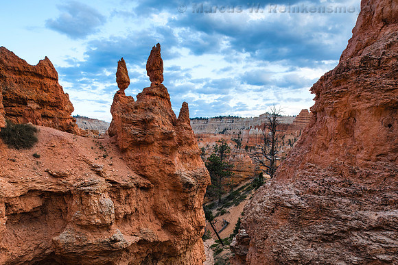 Queens Garden Trail, Bryce Canyon NP, UT 14