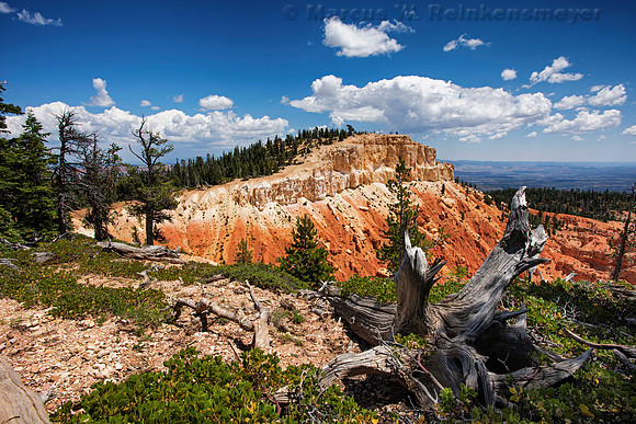 Bristlecone Loop Trail, Yovimpa Point, Bryce Canyon NP, UT 1