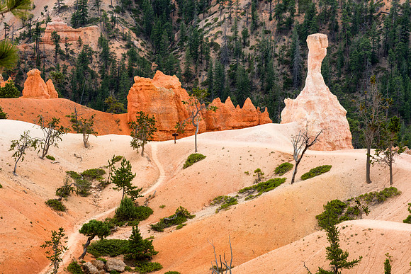 Queens Garden Trail, Bryce Canyon NP, UT 3