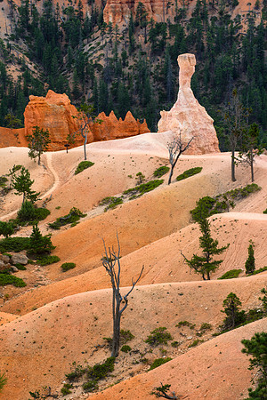 Queens Garden Trail, Bryce Canyon NP, UT 4