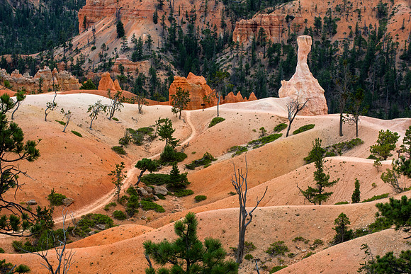 Queens Garden Trail, Bryce Canyon NP, UT 5