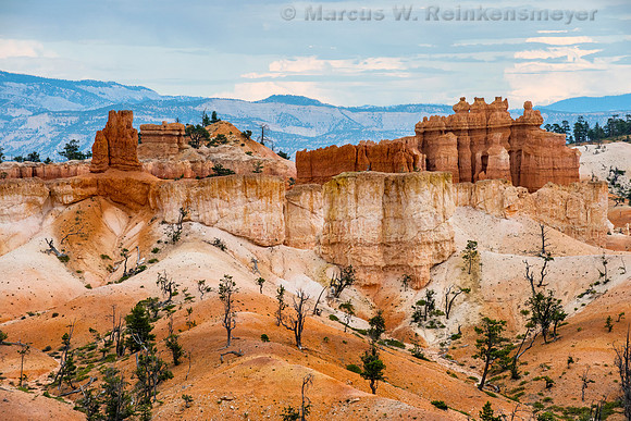 Queens Garden Trail, Bryce Canyon NP, UT 10