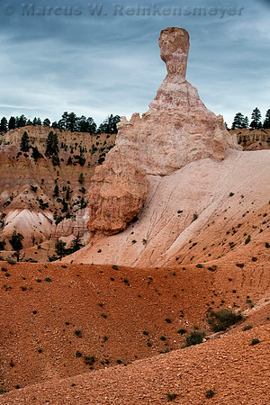 Queens Garden Trail, Bryce Canyon NP, UT 11