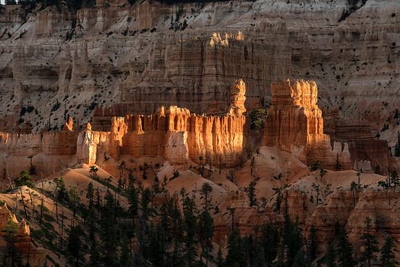 Last Evening Light, Horse Trail, Bryce Canyon NP, UT 9