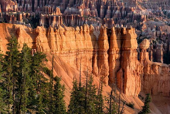 Peekaboo Loop Trail, Bryce Point, Bryce Canyon NP, UT 6