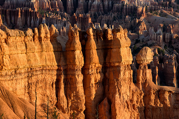 Peekaboo Loop Trail, Bryce Point, Bryce Canyon NP, UT 3