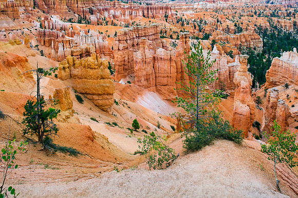 Navajo Trail, Bryce Canyon NP, UT 2