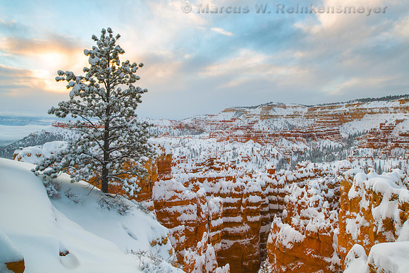 Winter Sunrise at Sunset Point Bryce Canyon National Park Utah 1