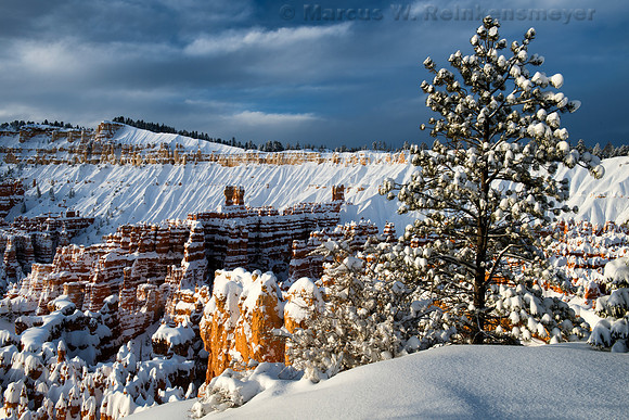 Winter Sunrise at Sunset Point Bryce Canyon National Park 1
