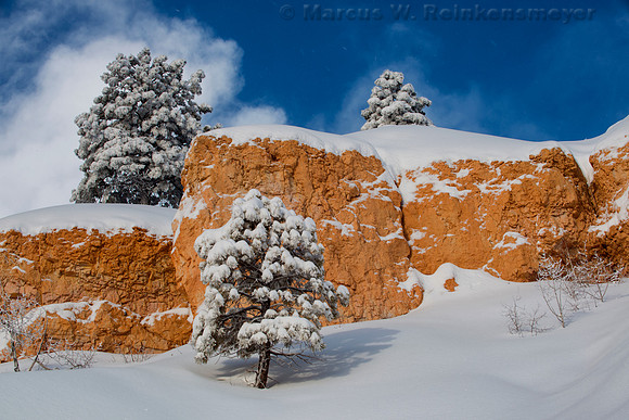 Navajo Loop Trail Bryce Canyon National Park Utah 5