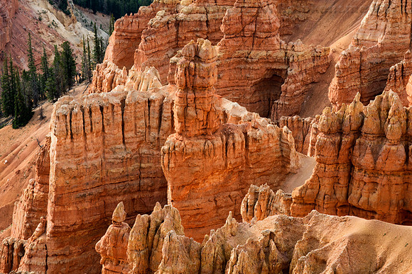 Cedar Breaks NP, UT 3