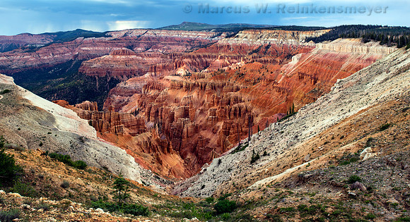 Cedar Breaks NP, UT 5