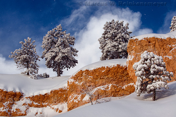 Navajo Loop Trail Bryce Canyon National Park Utah 6