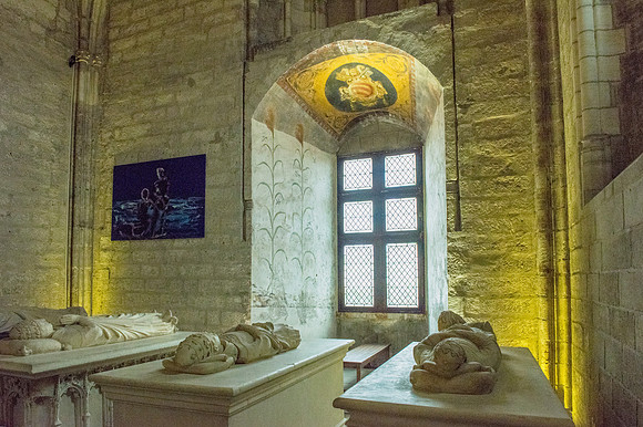 5 Papal Palace, Avignon, France 4