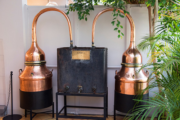 11 Fragonard Parfumeur 2, France