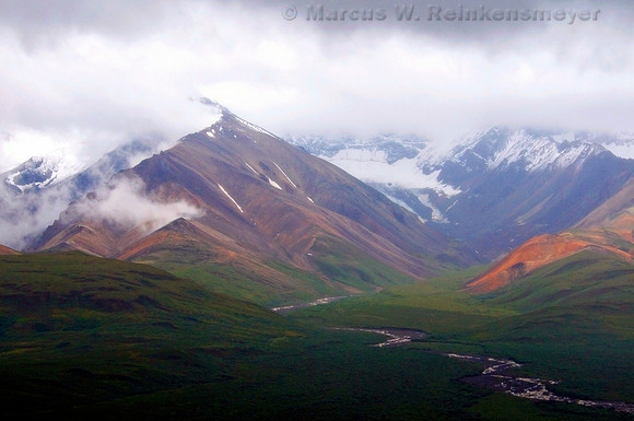 Denali National Park,  Alaska