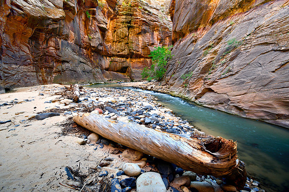 Virgin Narrows Log - Helicon Focus