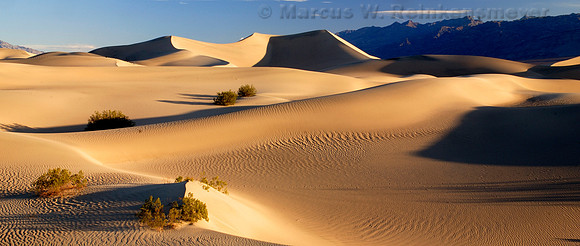 Published in Shutterbug magazine, September, 2008: Marcus W. Reinkensmeyer was captivated by the rich light and long shadows while photographing at Mesquite Flat Dunes in Death Valley National Park.