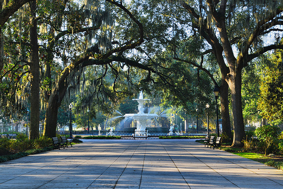 Savannah Foley Square Fountain in Trees 2