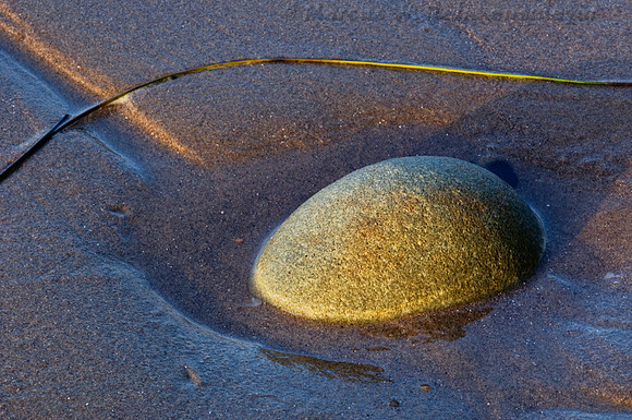 Beach Still Life 3, Ventura, California