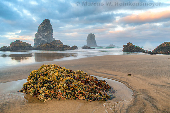 Shifting Shoreline, Cannon Beach, Oregon 1