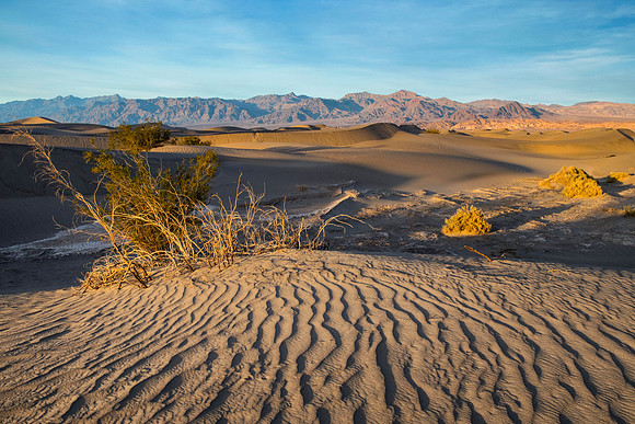 Golden Hour, Mesquite Flat Dunes, Death Valley, California 1