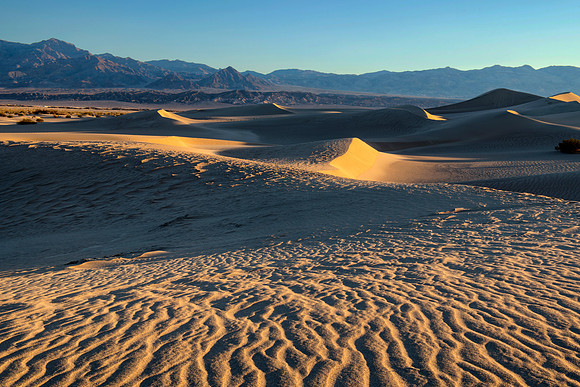 Sweep, Mesquite Flat Dunes, Death Valley, California 2
