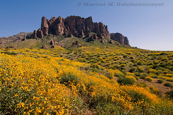 Lost Dutchman State Park, Superstition Mountains,  Arizona
