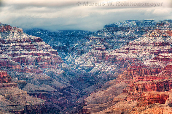 Grand Canyon Yavapai Point Crevice 2