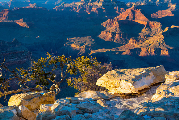 Grand Canyon Yavapai Point Golden Hour