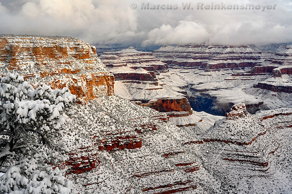 White Lace, Yaki Point, Grand Canyon National Park, Arizona 1