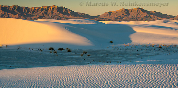 White Sands Dunes Aglow 1 Pano