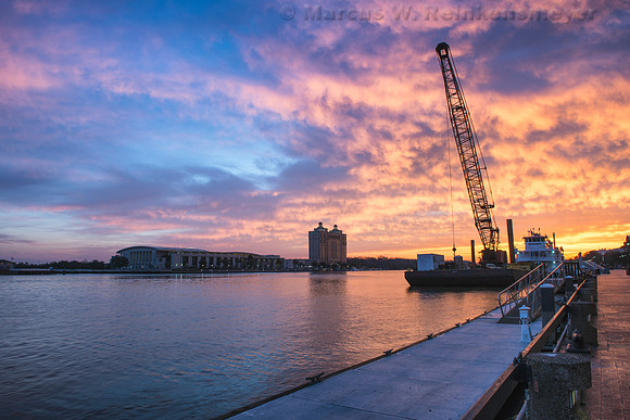 Savannah River Crane at Dawn 2