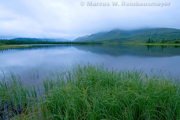 Otto Lake, Alaska