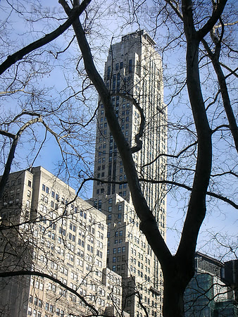New York City, New York