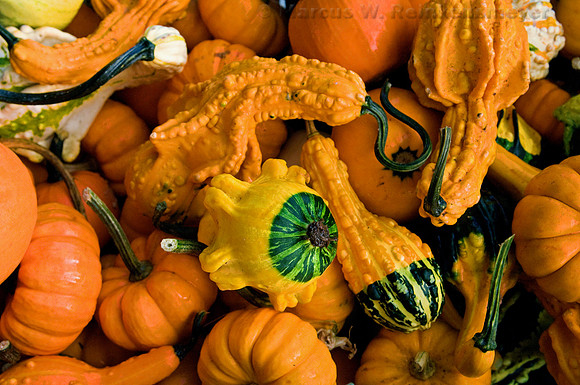 Farmers' Market, Kalamazoo, Michigan