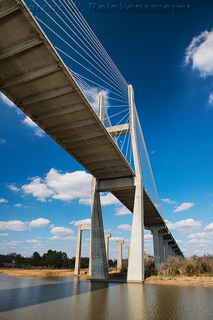 Savannah View Under the Talmadge Bridge 2