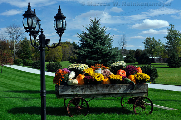 Weathered wagon with bountiful autumn harvest, including vegetables and flowers. Kalamazoo, Michigan.